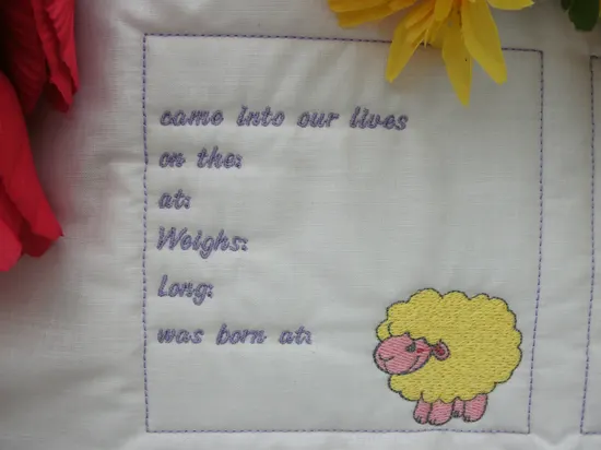 baby birth qb combo (2)
